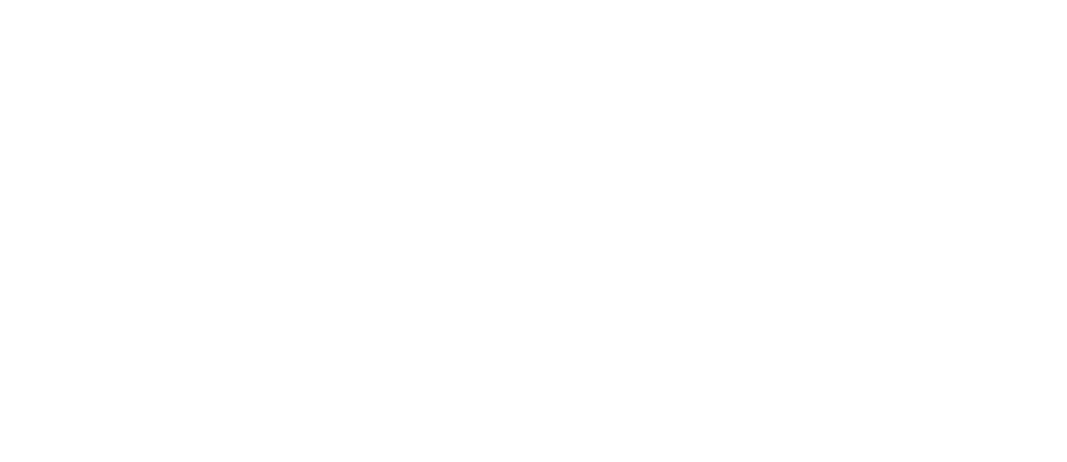 forbes960